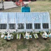 Rice Transplanter